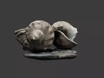 Sea shell ashtray Free low-poly 3D model