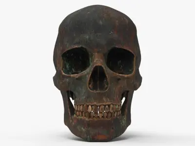 Human Skull Sci-fi Iron B 3D model