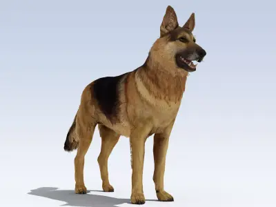 German Shepherd Dog Rig Low-poly 3D model