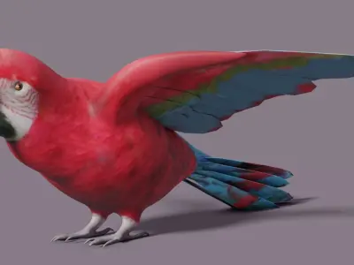 MACAW LOWPOLY parrot with wings spread Low-poly 3D model