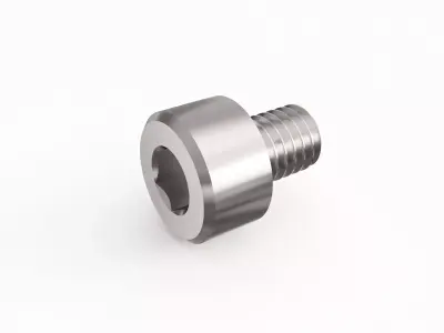 Screw 21 3D model