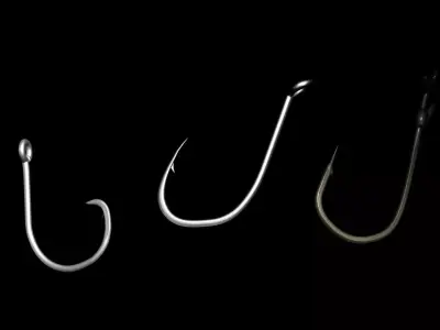 FishHooks pair of hooks 3D model