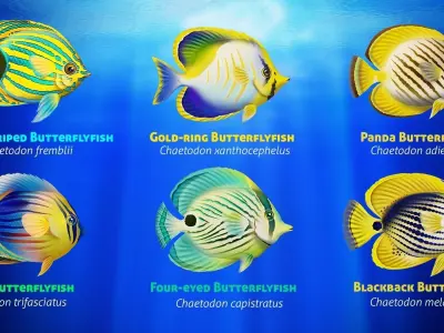 Cartoon Butterflyfish  Low-poly 3D model