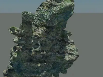 Coral Large 3D model