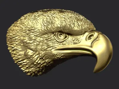 Eagle Head 3D print model