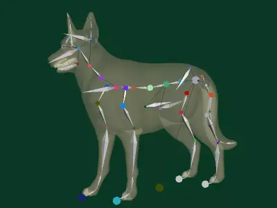 White Swiss Shepherd Dog Breed Free low-poly 3D model