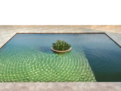 Bassin Set 01 - Koi fishs 3D model