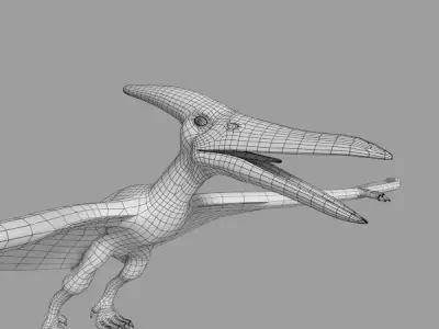 Pterodactylus dinosaurs flying in sky 3D model