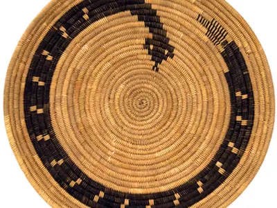 Rat Snake Basket Low-poly 3D model