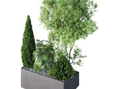 HQ Tree and bush garden box outdoor VOL 03 Free 3D model