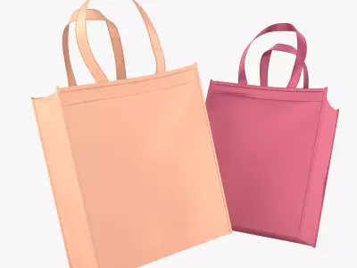 Eco Bag 3D model
