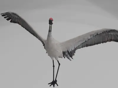 Crane package Low-poly 3D model