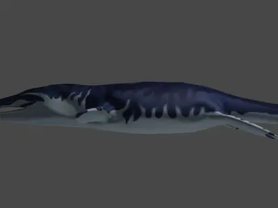 Pliosaur Low-poly 3D model