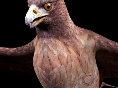 Eagle Rig Low-poly 3D model
