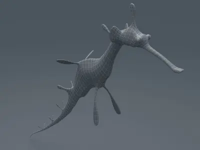 Sea Dragon Syngnathussp Low-poly 3D model