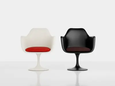 Tulip Armchair Free 3D model