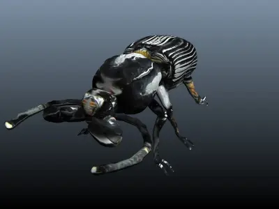 black beetle 3D model