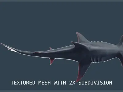 Hammerhead Shark Low-poly 3D model
