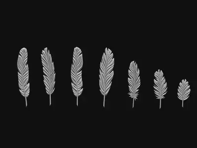 Feather kit 3D print model