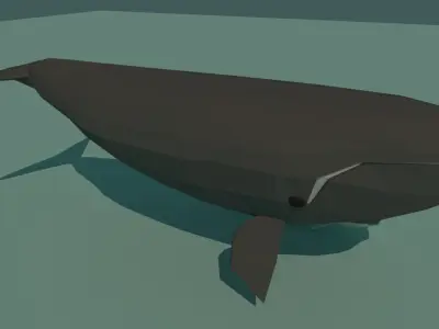 Low Poly Fish Pack Low-poly 3D model