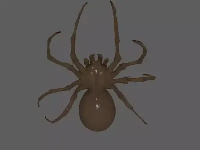 Spider  3D model