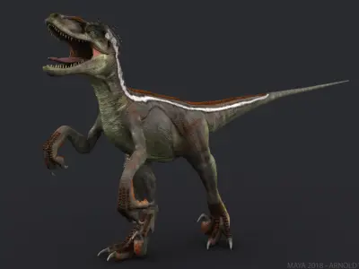 Velociraptor RIGGED 3D model