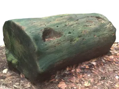 3D sawn of tree part model Low-poly 3D model