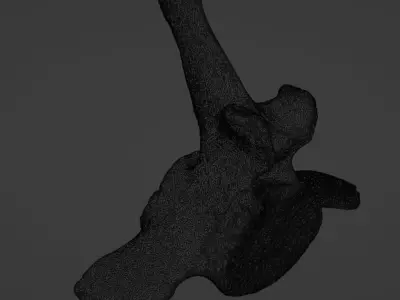 Whale vertebra Low-poly 3D model