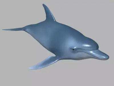 Dolphin - 3D model