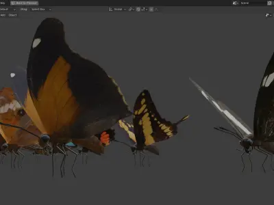 Butterfly Collection PBR Rigged Animated 3D model