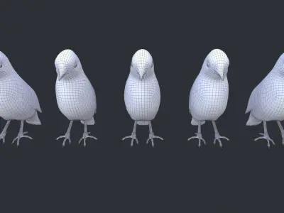 Birds group of colorful Low-poly 3D model