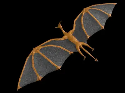 Pterosaur bat flying Low-poly 3D model