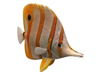 butterfly fish Low-poly 3D model