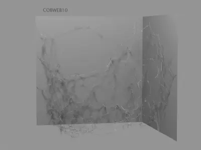 Cobwebs Collection open door with spider webs 3D model