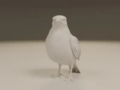 seagull 3D print model