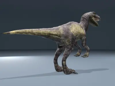 This dinosaur model  Raptor Low-poly 3D model