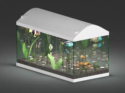 Aquarium fish tank 3D model