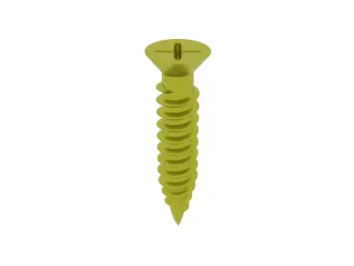 Screws 3D model