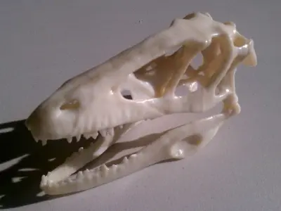 Animatronic Dinosaur Skull Free 3D print model