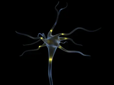 Neuron Cell 3D Model 3D model