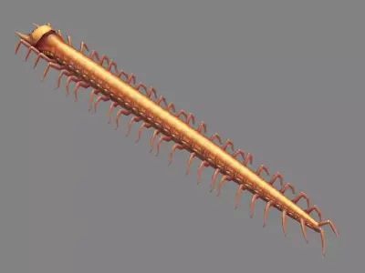 Cartoon Centipede Monster Low-poly 3D model