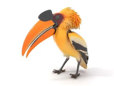 Vibrant Hornbill Bird model pack Low-poly 3D model