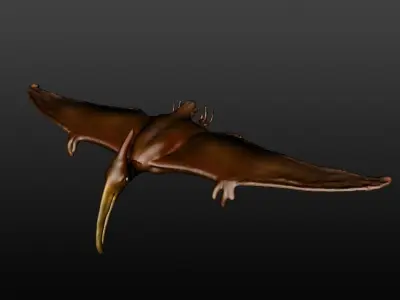 3d model of pterosaur 3D model