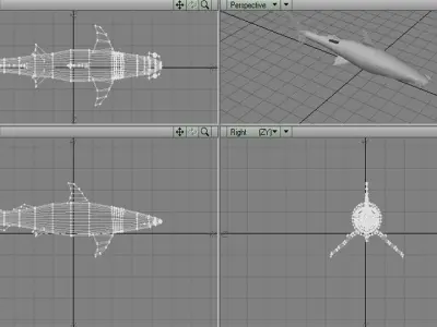 Shark - Bonnethead 3D model