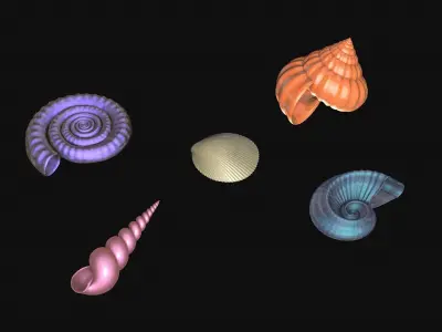 Shells and ammonites 3D model
