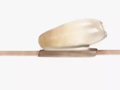 -Head Louse Nit- 3D model