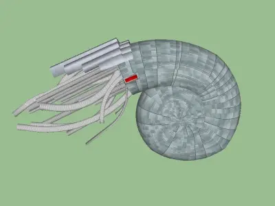 NAUTILIS 20 Free 3D model