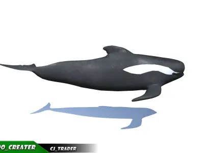 Low-Poly Long finned Whale Rigged Animated 3D model Low-poly 3D model