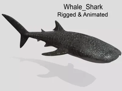 Whale Shark  Animated Low-poly Low-poly 3D model