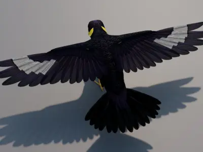 Black Bird Low-poly 3D model